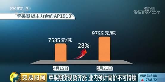 苹果期货最新动态与市场走势深度解析